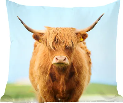 Produktbild von MuchoWow® Zierkissen Sofakissen Wohnzimmer Dekokissen 60x60 cm Schottisches Hochlandrind - Haare - Gras - Sitzfläche - Foto Polster