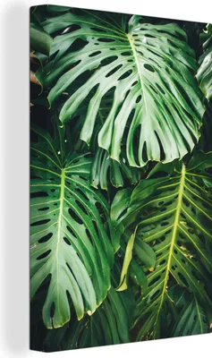 Produktbild von OneMillionCanvasses® - Leinwandbilder - 90x140 cm, Musterblätter, Wandbilder Kunstdruck Wanddekoration - Foto auf Leinwand - Gemälde auf Holzrahmen - Wandschmucke - Schlafzimmer