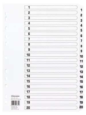 Produktbild von Register Mylar 1607 1-20 weiß Packung mit 15 Stück