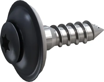 Produktbild von Sarei Sarei Spenglerschrauben SDF anthrazit 4.5 x 20 mm PH 3 - 25 Stk.
