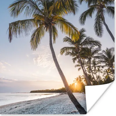 Produktbild von MuchoWow® Poster Strand - Sonnenuntergang - Palme 50x50 cm - Wohnzimmerdekoration