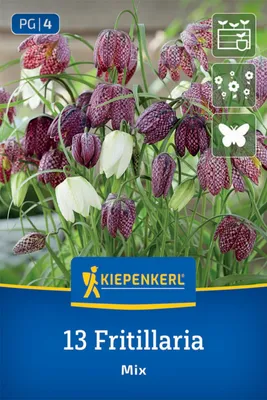 Produktbild von Kiepenkerl Schachbrettblumen Mischung Fritillaria meleagris 13 Zwiebeln