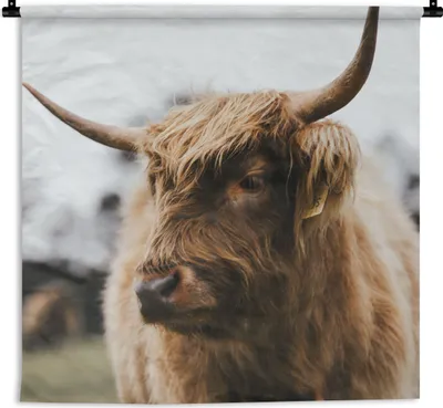 Produktbild von MuchoWow® Wandteppich Wandbehang Schottisches Hochlandrind - Tiere - Hörner 120x120 cm Tapisserie Dekoration Wandtuch - Modern - Baumwollgewebe