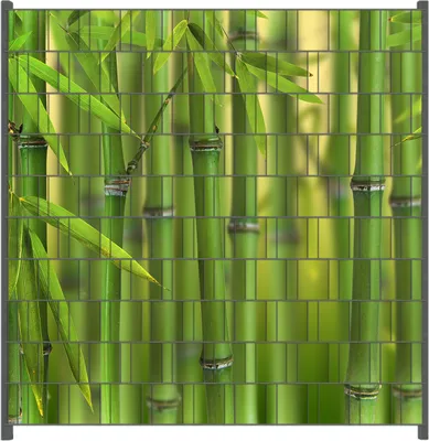 Produktbild von Wallario Zaunsichtschutz mit Motiv Grüner Bambuswald für Ein- und Doppelstabmatten Zäune in der Größe 200 x 200 cm