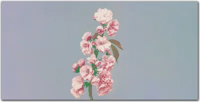 Produktbild von Coloray - Bild aus Glas - Glasbilder - 100 x 50 cm - Gehärtetes Glas Glasblock mit Bild Küche Wohnzimmer Wanddekoration Dekoration - Blumen Pflanzen