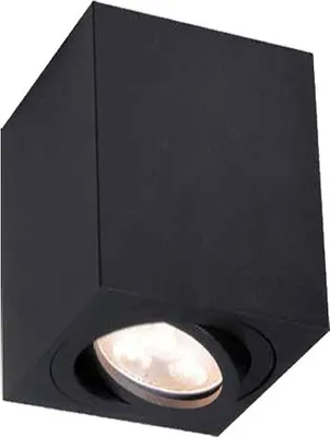 Produktbild von Deckenleuchte SPOTLIGHT maxi | schwenkbar | eckig | GU10 schwarz | Neutralweiß