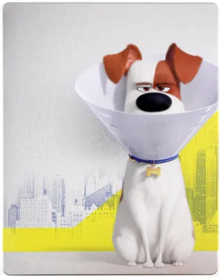 Produktbild von Pets 2 (nur Originalversion) [BLU-RAY 4K+BLU-RAY]
