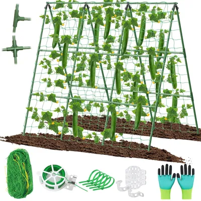 Image de Support réglable pour plantes grimpantes et légumes