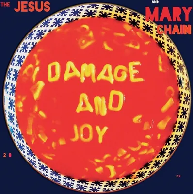 Image de Damage And Joy (Réédition)