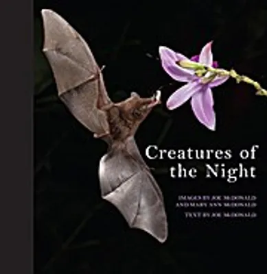 Image de Creatures of the Night