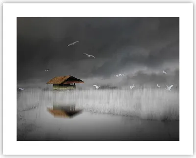 Produktbild von Poster - Poster ohne Rahmen - Hütte Nebel Sumpf - 50x40 cm - Wand Bild - Wanddeko - Wandbilder - Kunstposter - Wandposter - Bilder - Kunstdruck - Wanddekoration - Wandbild - P2XAA50x40-4896