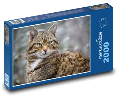 Zdjęcie produktu dla Puzzle 2000 Kot z pięknym widokiem - martinpuzzle