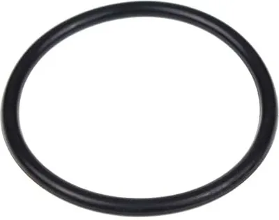 Image de WHIRLPOOL - Joint de ventilation cheminée - 480140102392
