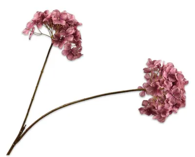 Produktbild von Silk-ka Kunstblume – Seidenblumen-Hortensienzweig, rosa, 85 cm