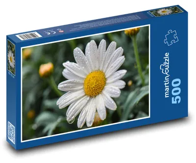 Zdjęcie produktu dla martinpuzzle - Puzzle 500 - Sedmikráska - kwiat, wiosna