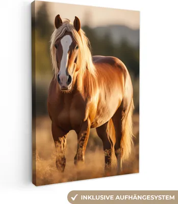Obrázek produktu pro OneMillionCanvasses® - Plátno - Kůň - Hnědý - Příroda - Pastviny - Zvíře, nástěnný obraz, nástěnné dekorace obrázky do obývacího pokoje, 20x30cm