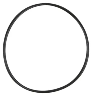 Immagine prodotto di O-Ring