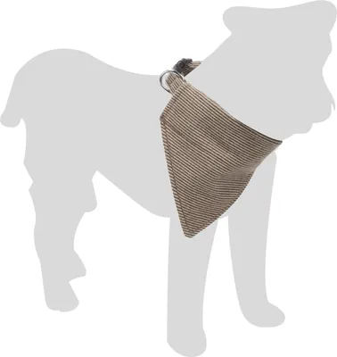 Productafbeelding van Halsband voor honden met bandana in lichtbruin - 35-50 cm