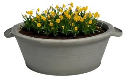 Produktbild von Mega Collections teil/pflanzentopf Farmer -zink - dunkelgrau - D26 X 12.5 cm