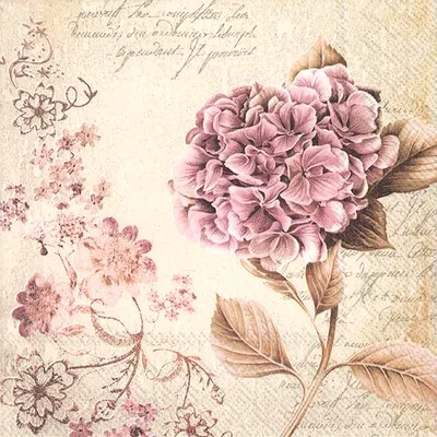 Image de IHR HELOISE grandes serviettes en lin 33x33 cm