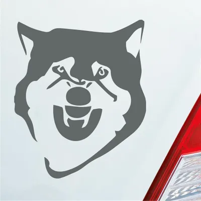 Produktbild von Auto Aufkleber Böser Husky angry Dog Tier Hund 12x10 cm Grau Sticker Heckscheibenaufkleber