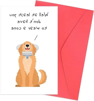 Produktbild von Überwachungsbrief, Humorvolle Gesundheitswunschcard, Luxuspapier, Rasantes Genesungspapier
