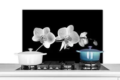 Obrázok produktu pre MuchoWow® Splashback Kuchyňa - Kuchynský backsplash - Ochrana steny pre sporák a drez Orchidea - Kvety - čierna - ružová - gombíky 90x60cm Alu-Dibond