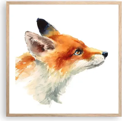 Produktbild von Gerahmtes Poster - Rahmen in heller Eiche - Fuchs Tier Natur - 60x60 cm - Wand Bild - Wanddeko - Wandbilder - Kunstposter - Wandposter - Bilderrahmen - Bilder - Kunstdruck - Wandbild - P2NAC60x60-3904