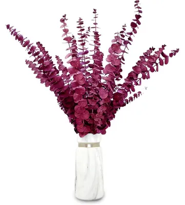 Produktbild von Getrocknete Eukalyptus-Zweige 20 Stück 43cm Rot für Blumenarrangements & Deko