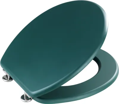 Produktbild von WENKO WC-Sitz Mod. Prima Dunkelgrün matt, MDF