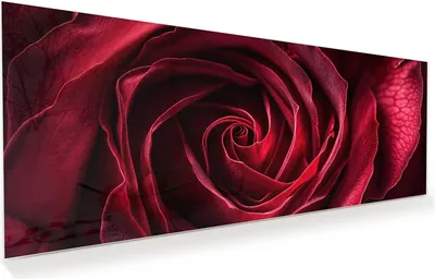 Produktbild von Glasbild 150x60cm in XXL für Wohnzimmer, Schlafzimmer Motiv Rose Makroaufnahme