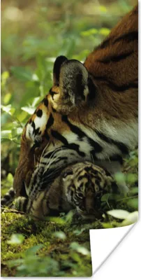 Produktbild von MuchoWow® Poster Tiger - Pflanzen - Jungtier 60x120 cm - Wandschmuck