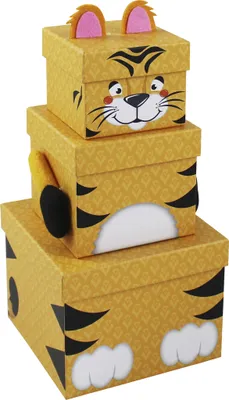 Image de Clairefontaine Set de boîtes cadeaux "Tigre" 3 pièces