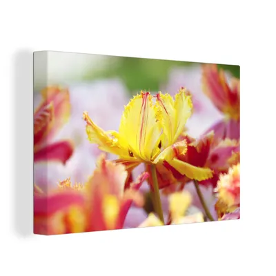 Produktbild von OneMillionCanvasses® - Leinwandbilder - 150x100 cm, Tulpe in Nahaufnahme, Wandbilder Kunstdruck Wanddekoration
