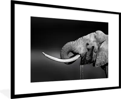 Produktbild von MuchoWow® MuchoWow® Gerahmtes Poster Elefant - Wasser - Schwarz - Weiß 90x60 cm - Poster mit zchwarzem Bilderrahmen - Wanddekoration - Fotos