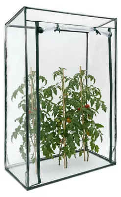 Zdjęcie produktu dla Szklarnia do uprawy pomidorów Relaxdays, wymiary 150 x 100 x 50 cm (wys. x szer. x gł.), szklarnia foliowa z dachem skośnym i folią PVC, przezroczysta