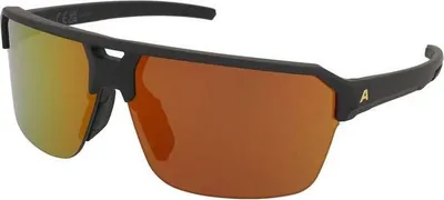Image de Alpina Swift Hr Noir-Or Mat Noir-Or Mat -