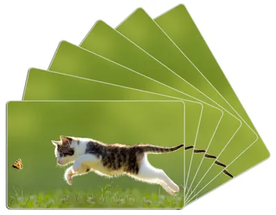 Produktbild von Wallario Frühstücksbrettchen 6er Set aus Glas, je 14 x 23 cm, mit rutschfesten Füßen, Motiv Süße Katze fängt Schmetterling im Grünen