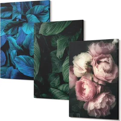 Produktbild von Wandbild – Leinwandbild – Leinwandbilder – Polycanvas – Kunstdruck – Modern – Panorama – Mehrteilig – 3-Teilig Set – Hochwertig – Lichtecht – Geruchslos – 20x30 Cm Je Element - Blätter und Blüten in verschiedenen Farben