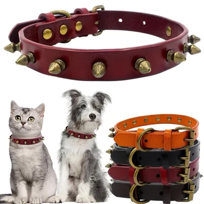Productafbeelding van Solidchoice - Gestifte Hondenhalsband van Leer M