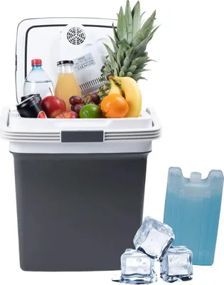 Zdjęcie produktu dla Przenośna lodówka samochodowa, 29L, 220-240V DC12V, funkcja grzania, wkład gratis, grafit