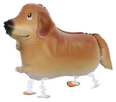 Obrázok produktu pre Fóliový balón Airwalker Golden Retriever, približne 60 x 40 cm