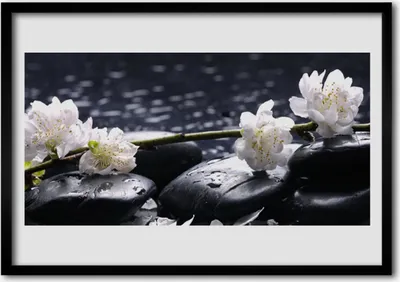 Produktbild von Bild 100x70 MDF-Rahmen Wandkunst Blume Steine