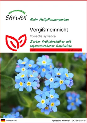 Produktbild von SAFLAX  - Vergißmeinnicht - Myosotis sylvatica - 150 Samen