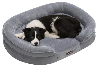 Produktbild von Feandrea Hundebett, orthopädisch, für mittelgroße Hunde, 89 x 63 x 18 cm – hellgrau, Größe L 89 x B 63 x H 18 cm