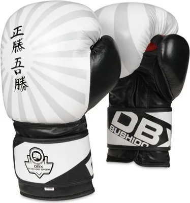 Image de Gants de boxe DBX BUSHIDO B-2v8 14oz