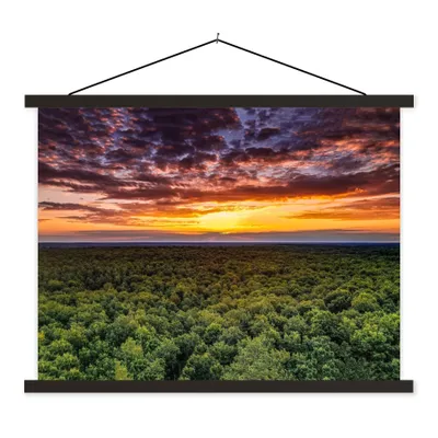 Produktbild von MuchoWow® Textilposter Wald - Nacht - Himmel - Horizont - Bäume 40x30 cm mit schwarzem Rahmen - Dekorationen