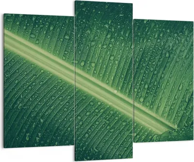 Produktbild von Bild auf Leinwand - Leinwandbild - 3 Teile - Makro Blatt Tropfen - 130x100cm - Wand Bild - Wanddeko - Wandbilder - Leinwanddruck - Bilder - Wanddekoration - Leinwand bilder - Wandbild - CB130x100-4372