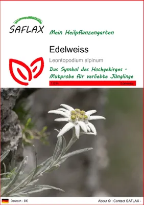 Produktbild von SAFLAX - Edelweiss - Leontopodium alpinum - 500 Samen