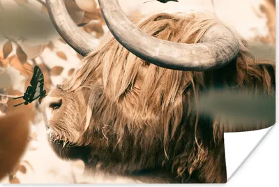 Produktbild von MuchoWow® Poster Schottischer Highlander - Schmetterling - Tiere 90x60 cm - Schlafzimmer
